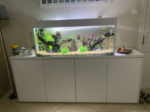 Aquarium et meuble