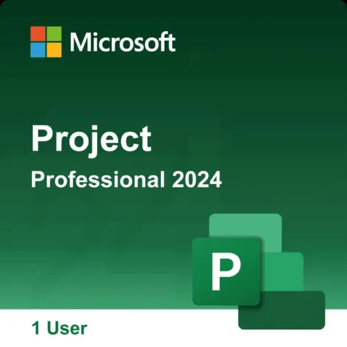 Microsoft project 2024 pro