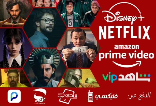 NETFLIX AMAZON PRIME VIDEO DISNEY PLUS +