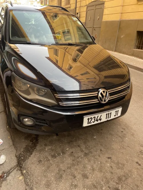 Volkswagen Tiguan 2011 Tiguan