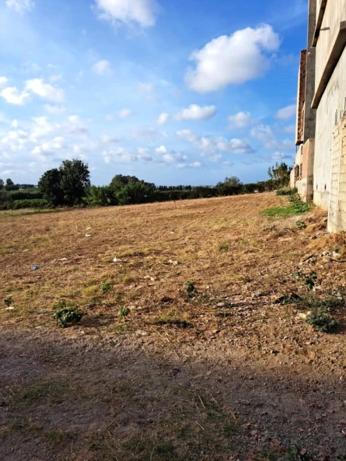 Vente Terrain Boumerdès Ouled moussa