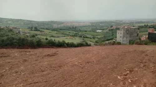 Vente Terrain Boumerdès Larbatache