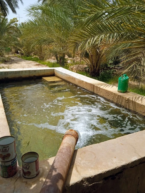 Vente bien immobilier Biskra Tolga