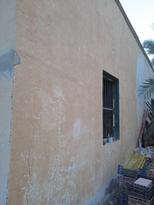 Vente bien immobilier Biskra Tolga