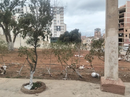 Vente Appartement F3 Oran Bir el djir