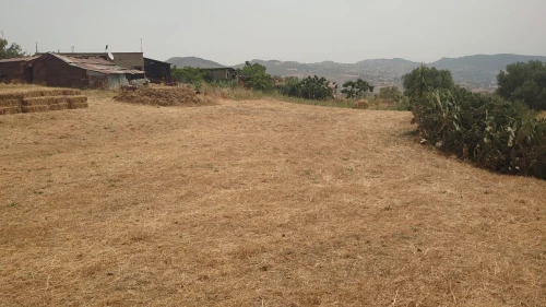 Vente Terrain Tizi Ouzou Boudjima