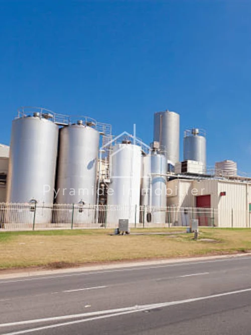 Vente Hangar - Usine Oran Es senia