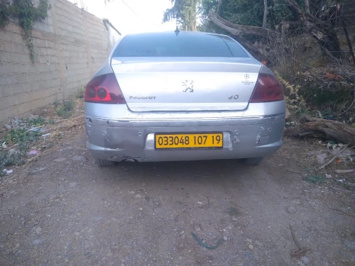 Peugeot 407 2007 407