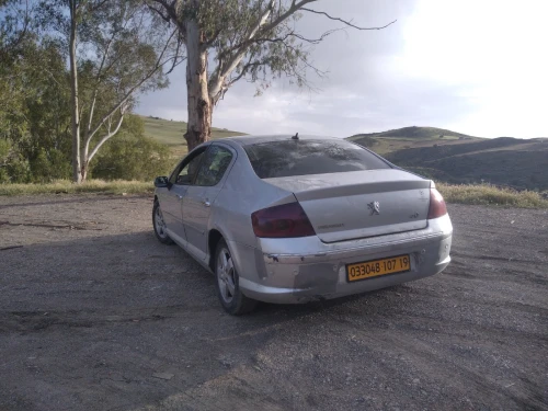 Peugeot 407 2007 407