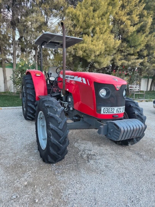 MAASY FERGUSON 440 2021