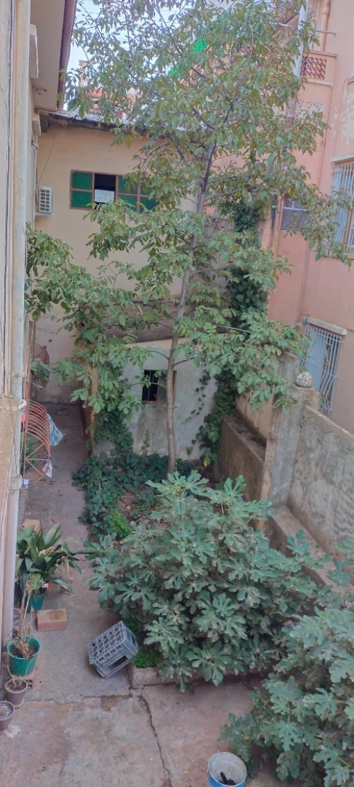 Vente Villa Médéa Medea
