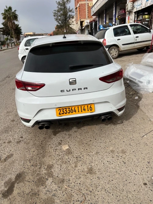 Cupra  Loin sc 2014 