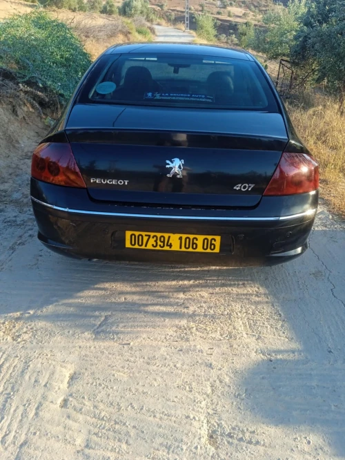 Peugeot 407 2006 