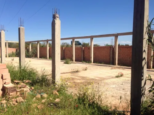 Location Terrain Aïn Defla Ain soltane