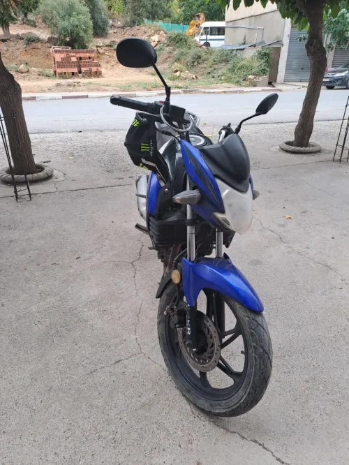 FAN B10 2017