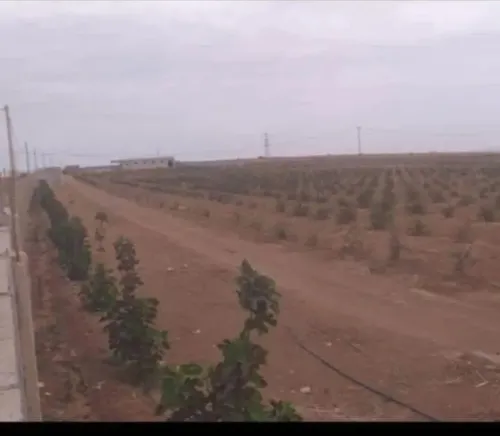 Vente Hangar - Usine Oran El Kerma