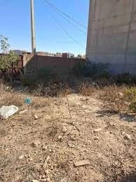 Vente Terrain Oran Bir el djir