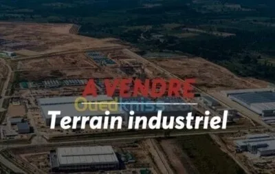 Vente Terrain Oran Es senia
