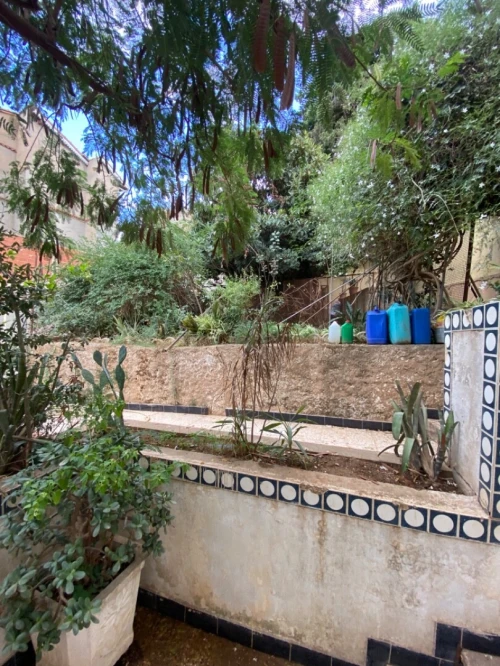 Vente Terrain Alger Saoula
