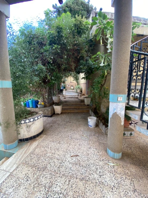 Vente Terrain Alger Saoula