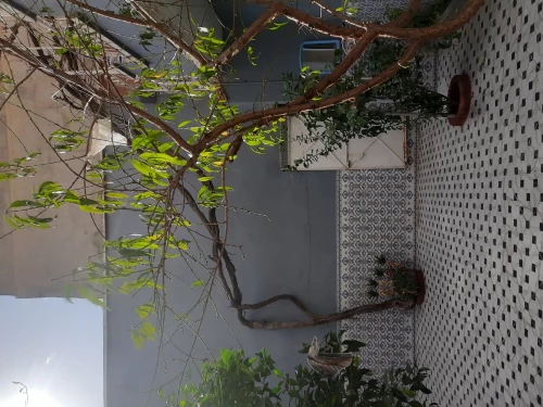 Vente Villa Aïn Témouchent Ain el arbaa