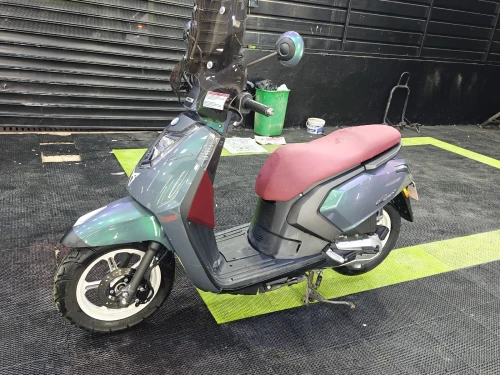 Vms Gemma 2025