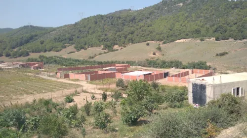 Vente Terrain Tipaza Cherchell