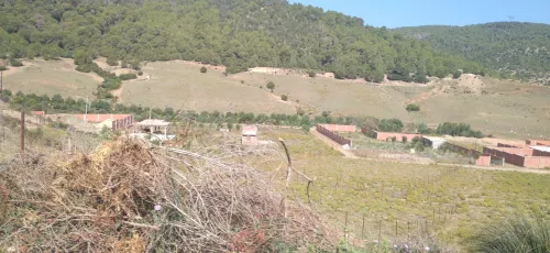 Vente Terrain Tipaza Cherchell