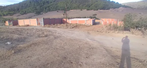 Vente Terrain Tipaza Cherchell