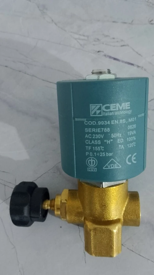 Electrovenne vapeur 