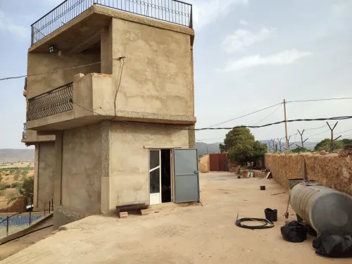 Vente Terrain Agricole Saïda Youb