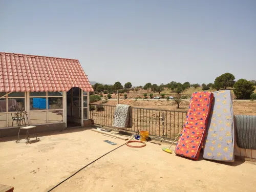 Vente Terrain Agricole Saïda Youb