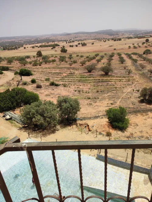 Vente Terrain Agricole Saïda Youb