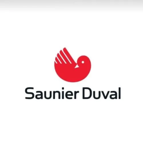 Réparation, chaudière Saunier Duval Algérie 