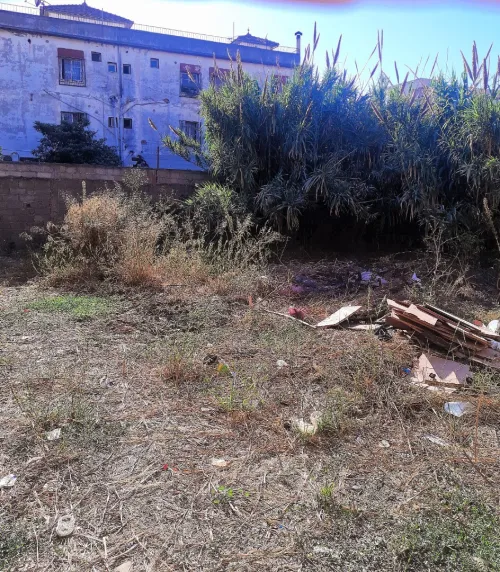 Vente Terrain Alger Cheraga