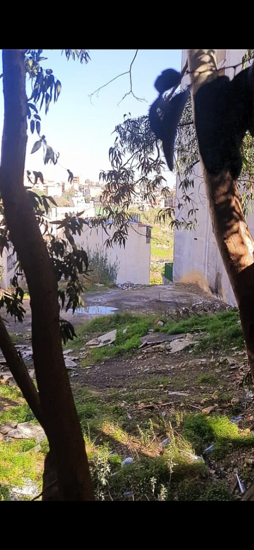 Vente Terrain Alger Beni messous