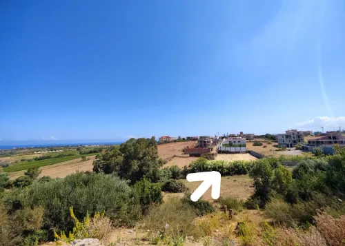 Vente Terrain Boumerdès Zemmouri