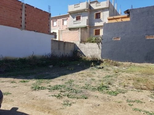 Vente Terrain Alger Baraki