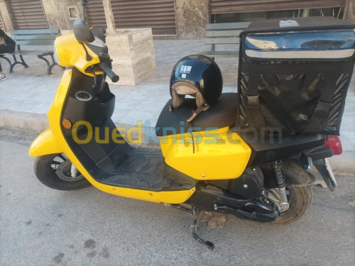 VMS VMS 2022