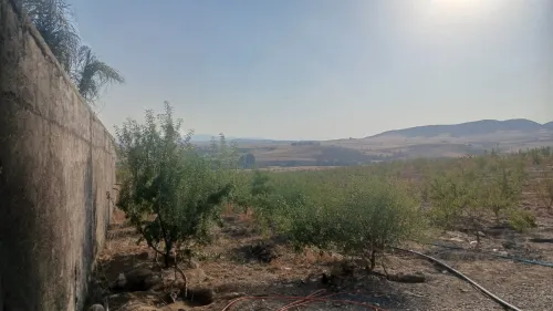 Vente Terrain Agricole Bouira El hachimia