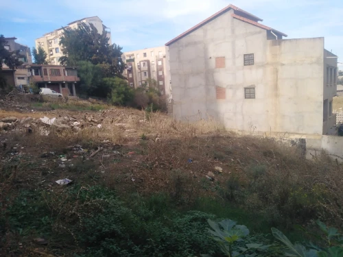 Vente Terrain Alger Souidania