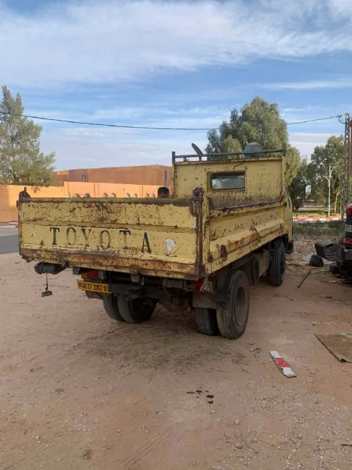 طويطا Bu65 1987