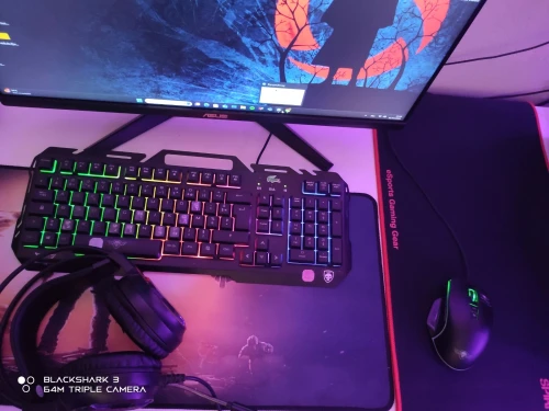 Pc gamer 