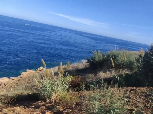 Vente Terrain Béjaïa Beni ksila