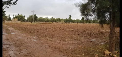 Vente Terrain Agricole Mostaganem Bouguirat