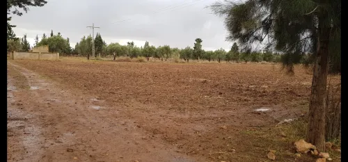 Vente Terrain Agricole Mostaganem Bouguirat