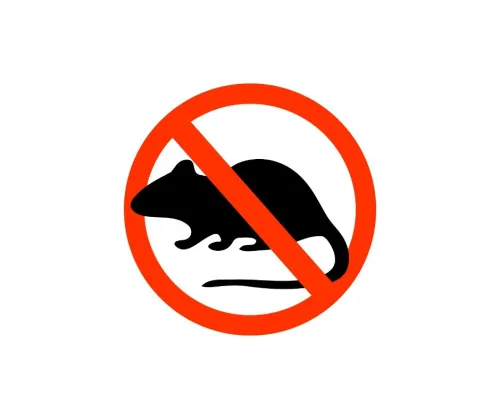 Boite rectangulaire HIGHT QUALITY pour appâts raticides 