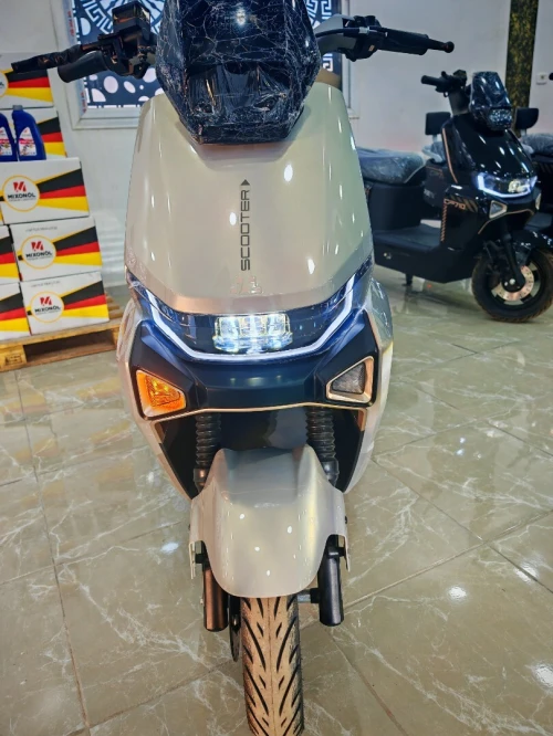 Rex Moto electric 2026