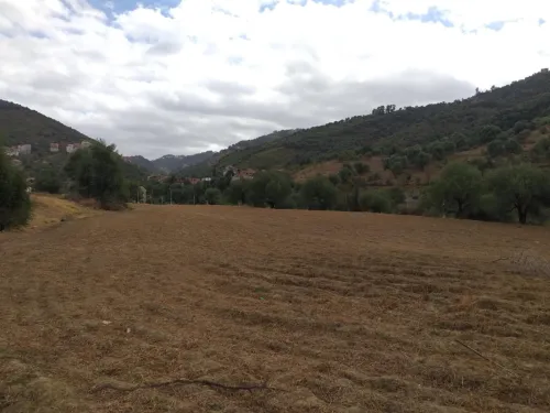 Vente Terrain Tizi Ouzou Tizi rached