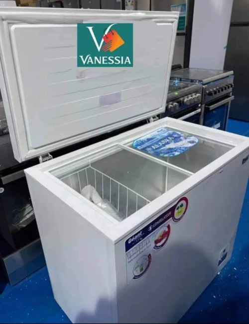 Congélateur Marque Géant 260L Couleur Blanc